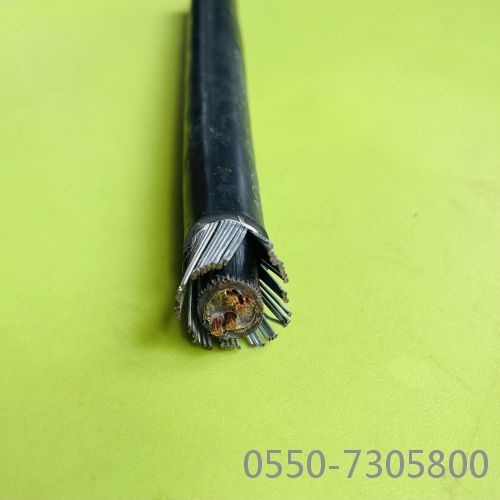 ¸ÖË¿îø×°µçÀÂ18.jpg ¸ÖË¿îø×°µçÀÂ18.jpg