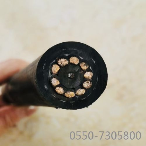 ¿¹ÀµçÀÂ25.jpg ¿¹ÀµçÀÂ25.jpg