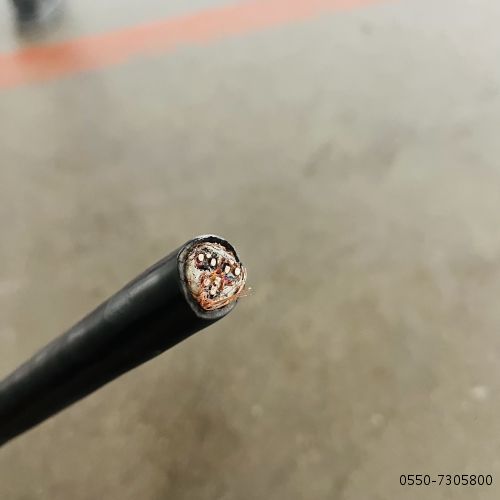 IMG_0648(1).jpg IMG_0648(1).jpg