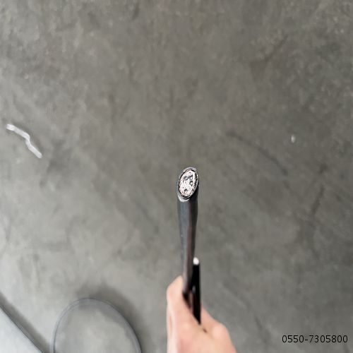 IMG_1241(1).jpg IMG_1241(1).jpg