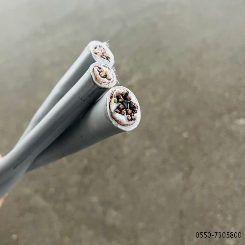 ÌØÖÖµçÀÂ�?.jpg ÌØÖÖµçÀÂ�?.jpg