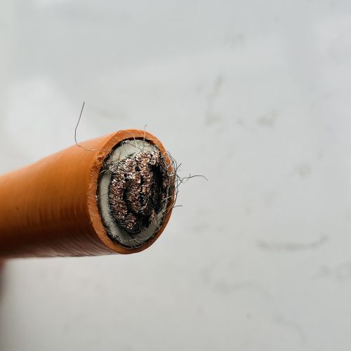 IMG_3021.jpg IMG_3021.jpg