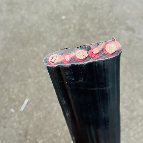 IMG_6101.jpg IMG_6101.jpg