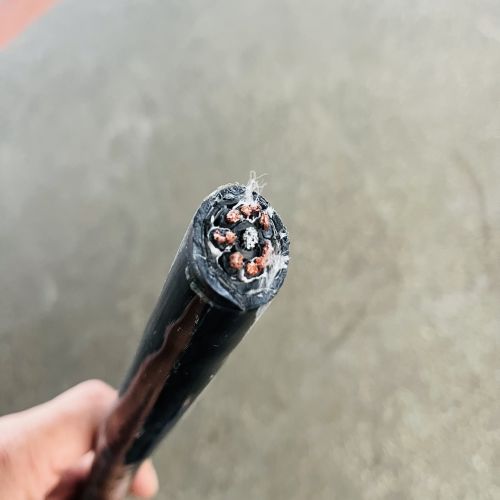 IMG_7911(1).jpg IMG_7911(1).jpg