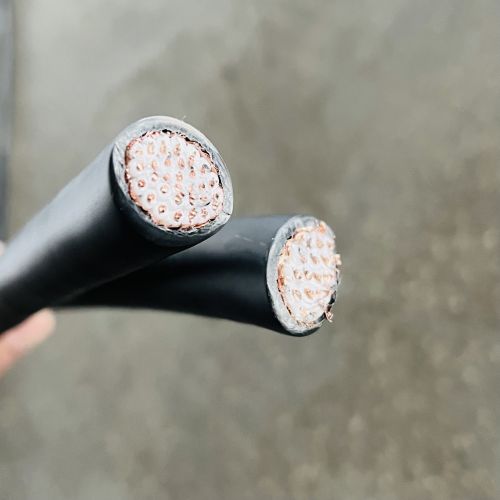 IMG_5918.jpg IMG_5918.jpg