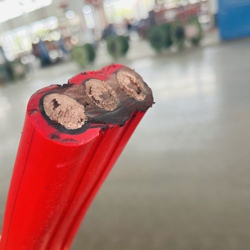 IMG_2656.jpg IMG_2656.jpg