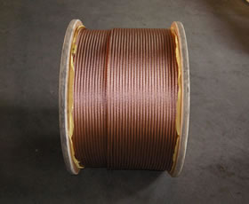 ����max(�й���)���޹�˾����