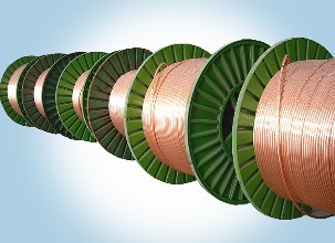 ����max(�й���)���޹�˾����