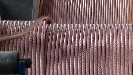 狗万·max(中国游)有限公司官网