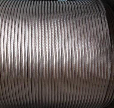 ����max(�й���)���޹�˾����