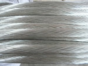 ����max(�й���)���޹�˾����