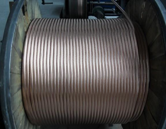 ����max(�й���)���޹�˾����