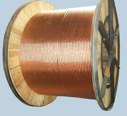 ����max(�й���)���޹�˾����