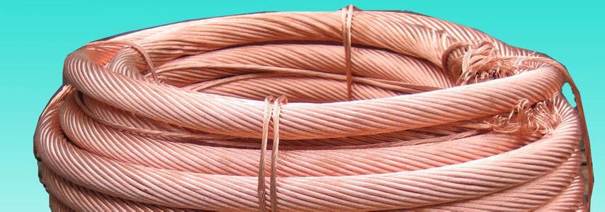 ����max(�й���)���޹�˾����