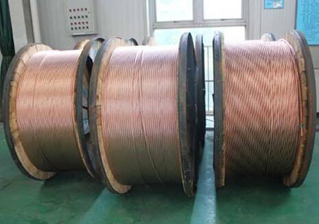 ����max(�й���)���޹�˾����