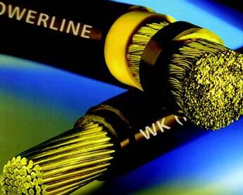 ����max(�й���)���޹�˾����