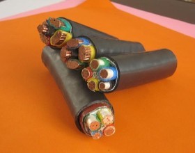 ����max(�й���)���޹�˾����