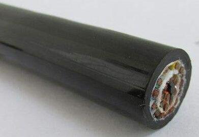 ����max(�й���)���޹�˾����