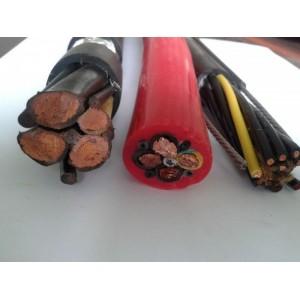 ����max(�й���)���޹�˾����