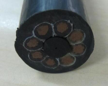 ����max(�й���)���޹�˾����