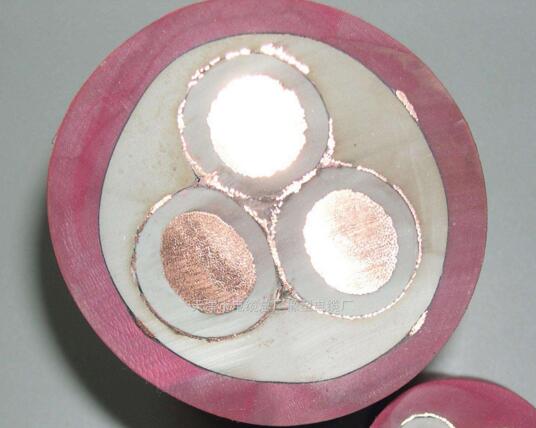 ����max(�й���)���޹�˾����