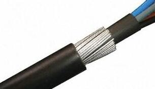 ����max(�й���)���޹�˾����