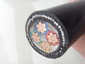 ����max(�й���)���޹�˾����