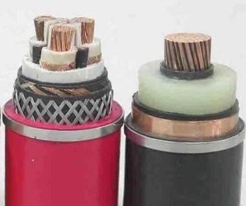 ����max(�й���)���޹�˾����