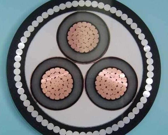 ����max(�й���)���޹�˾����