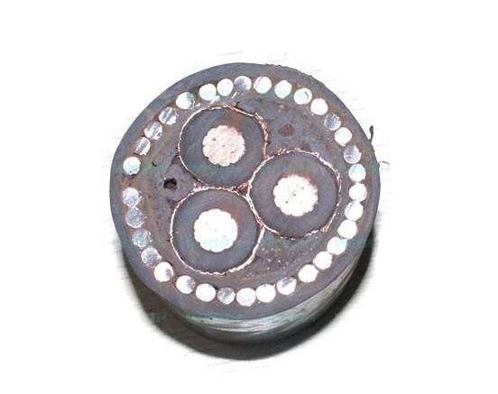 ����max(�й���)���޹�˾����