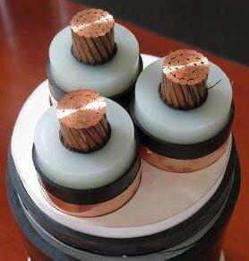 狗万·max(中国游)有限公司官网