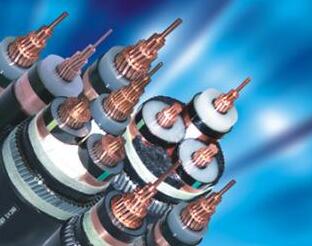 ����max(�й���)���޹�˾����