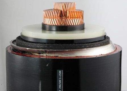 ����max(�й���)���޹�˾����