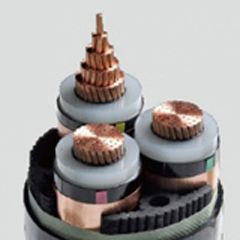 ����max(�й���)���޹�˾����