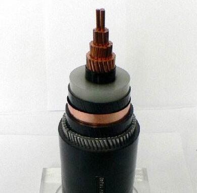 ����max(�й���)���޹�˾����