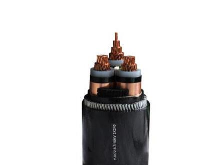 ����max(�й���)���޹�˾����