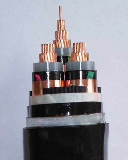 ����max(�й���)���޹�˾����