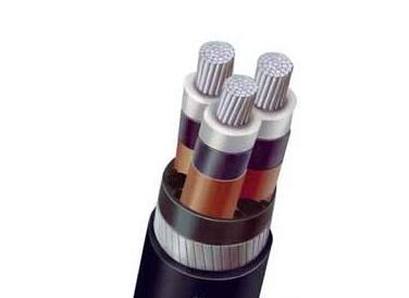 ����max(�й���)���޹�˾����