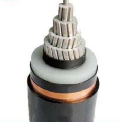 ����max(�й���)���޹�˾����