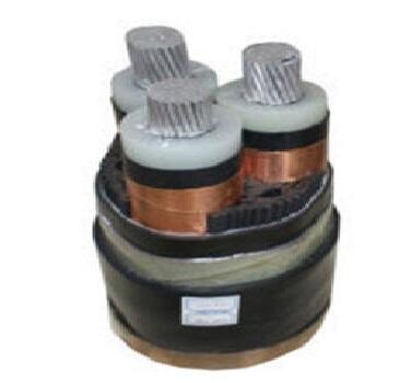 ����max(�й���)���޹�˾����