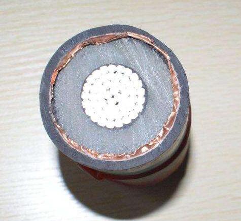 ����max(�й���)���޹�˾����