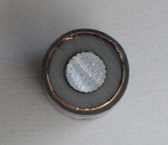 ����max(�й���)���޹�˾����