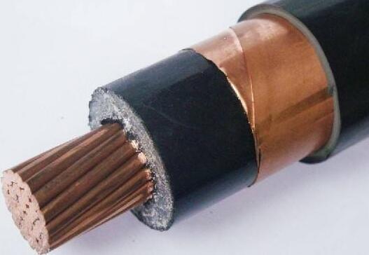 ����max(�й���)���޹�˾����