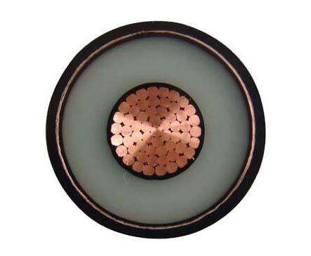 ����max(�й���)���޹�˾����