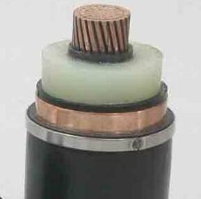 ����max(�й���)���޹�˾����