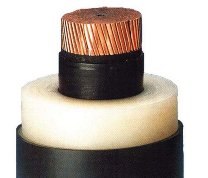 ����max(�й���)���޹�˾����