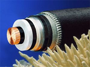 ����max(�й���)���޹�˾����