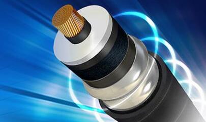 ����max(�й���)���޹�˾����