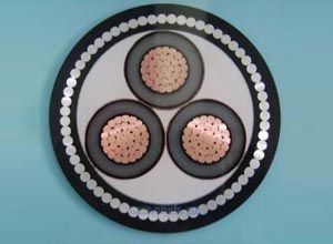 ����max(�й���)���޹�˾����