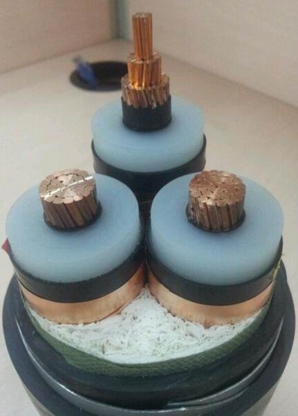 ����max(�й���)���޹�˾����